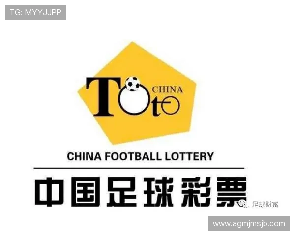 如何根据世界杯体彩中奖规则合理投注实现最大化收益